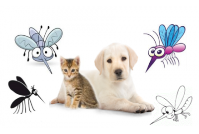 ANTIPARASSITARI PER CANI E GATTI