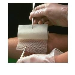 Bactigras grz 10x10cm 10pz 7457