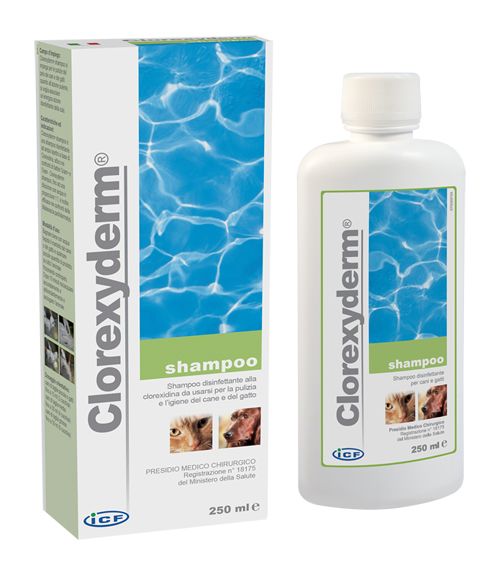 Clorexyderm shampoo 250 ml