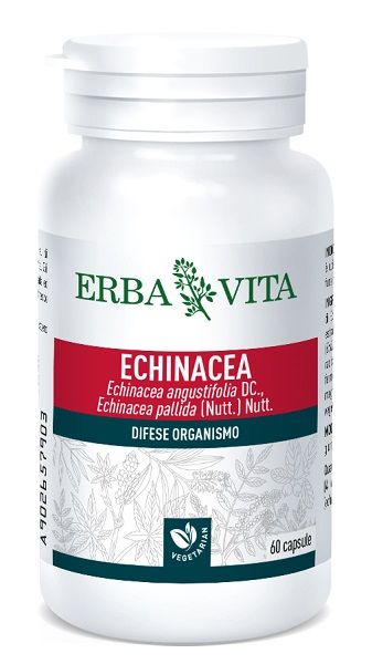 Echinacea 60 capsule 500 mg