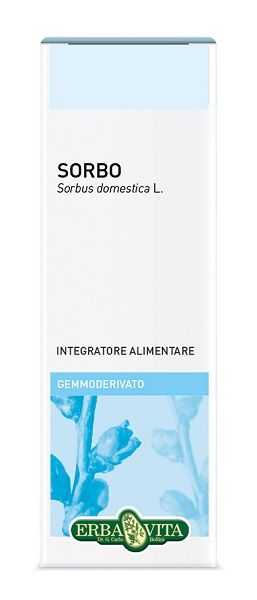 Gemmoderivato sorbo 50 ml