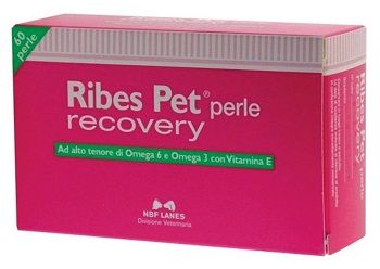 Ribes pet recovery blister 60 perle