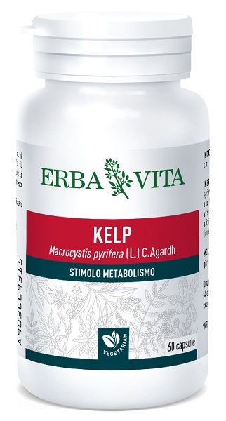 Kelp 60 capsule 500 mg