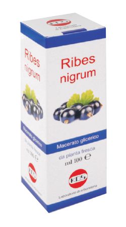 Ribes nigrum mg 100ml gtt kos