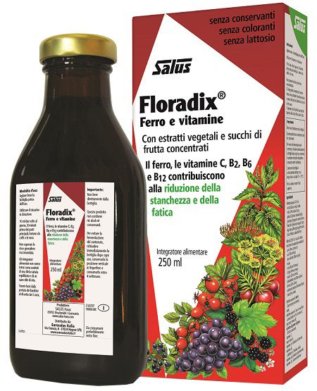 Floradix 250 ml