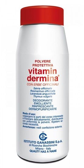 Vitamindermina polvere prot 100g