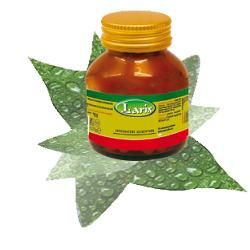 Noni 60 capsule