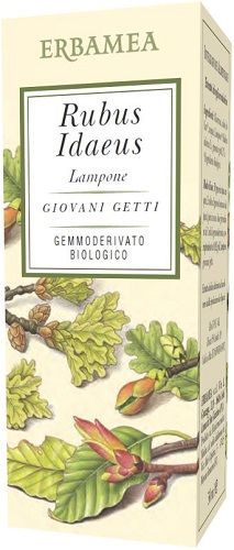 Rubus idaeus lampone bio 50 ml