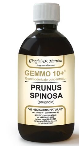 Gemmo 10+ prugnolo 500 ml liquido analcolico