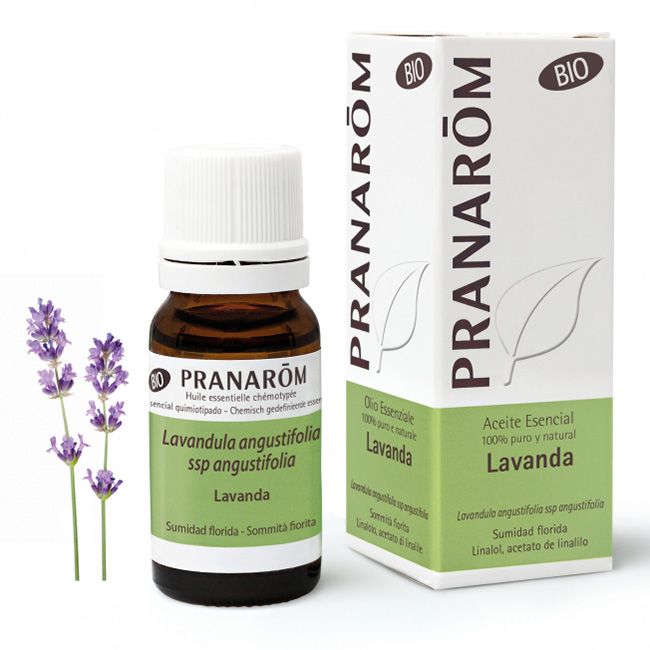 Pranarom lavanda angustifolia olio essenziale bio 10 ml