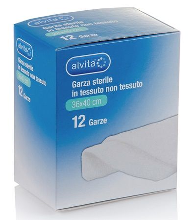 Alvita garza ster 36x40cm 12pz