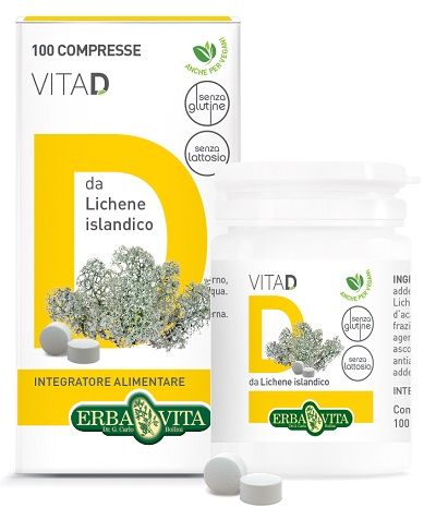 Vita d 100 compresse orosolubili 20 g