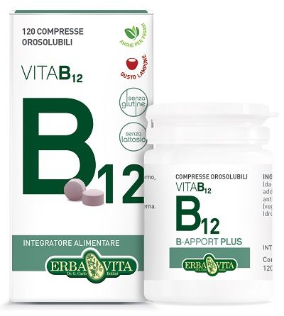 B apport plus 120 compresse orosolubili