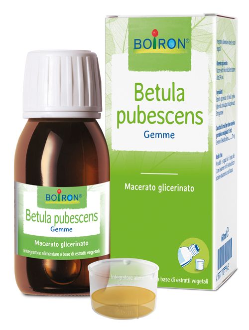 Betula pubesc boiron macerato glicerico 60 ml