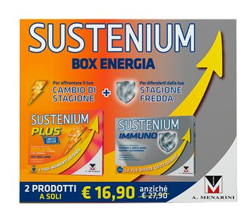 Sustenium box energia 2019