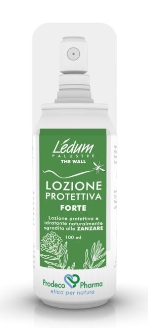 Ledum the wall loz prot ft