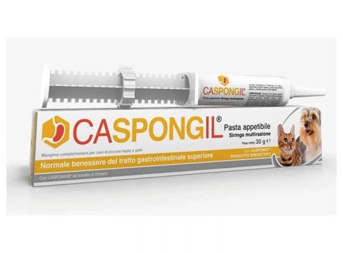 Caspongil pasta 30 g