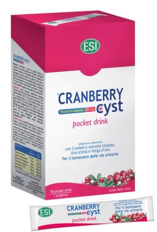 CRANBERRY CYST POCKET DRINK 16 BUSTINE
