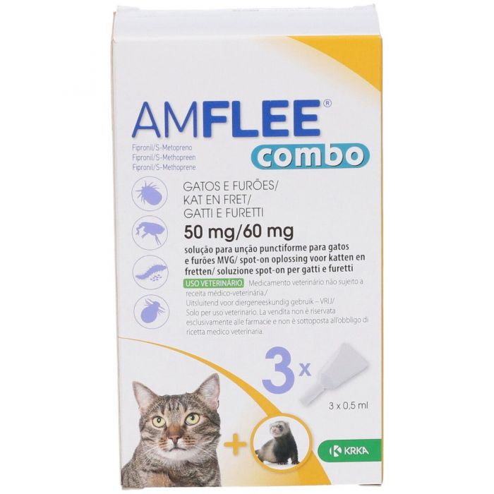 Amflee combo*3pip gatti/furett
