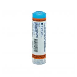 Berberis vulgaris*30ch 80gr 4g