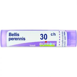 Bellis perennis*30ch 80gr 4g