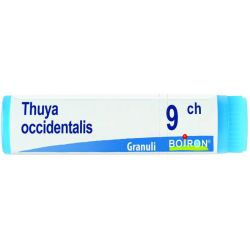Thuya occ 9ch gl 1g