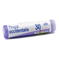 Thuya occident 30ch gl