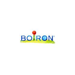 Carbo vegetabil 9ch gr boiron