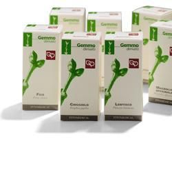 Agnocasto macerato glicerico 50 ml