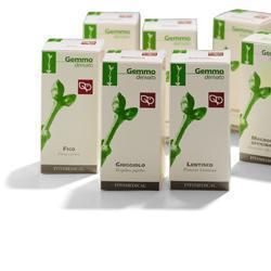 Ribes nero macerato glicerico 100 ml