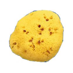 Spugna nat fori pic 9/10cm 11v