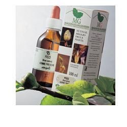Ribes 100ml mg
