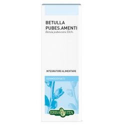 Gemmoderivato betulla pubescens 50 ml