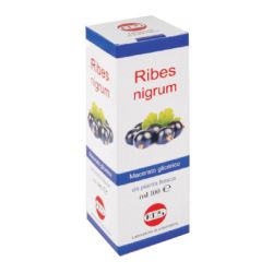 Ribes nigrum mg 100ml gtt kos