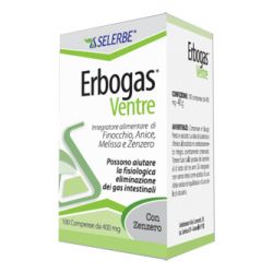 Erbogas ventre 100 compresse
