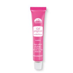 Euphidra amidomio gel gengive 15 ml