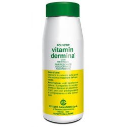 Vitamindermina polvere ment 100 g