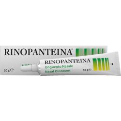 Unguento nasale rinopanteina 10 g