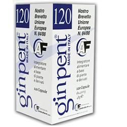 Ginpent 120 capsule 400 mg