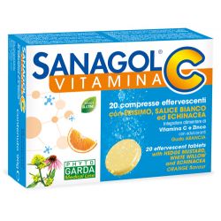 Sanagol c 20 compresse effervescenti