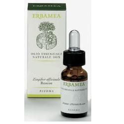 Menta piperita olio essenziale 10 ml