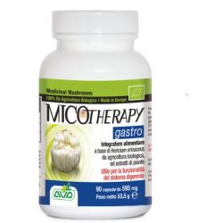 Micotherapy gastro 90 capsule flacone 53,50 g