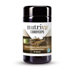 Nutriva cordyceps 60 capsule vegetali