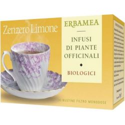 Zenzero/lim bio 20 bustine 30 g