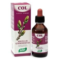 Zefirus col linea gemme