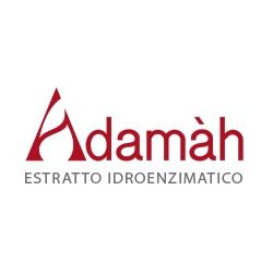 Eie rhodiola 60 ml gocce