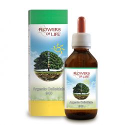 Argento colloidale 940 250 ml flowers of life