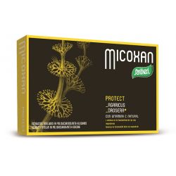 Micosan protect 40 capsule