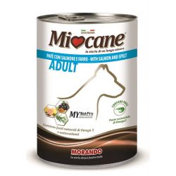 Miocane pate' salmone e farro