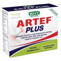 Whynature artef plus 14bust